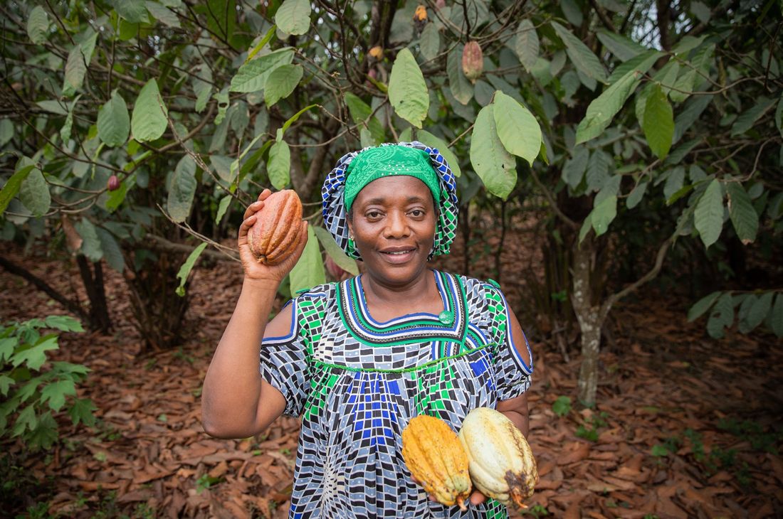 A cocoa farmer in a host community in the Western Region